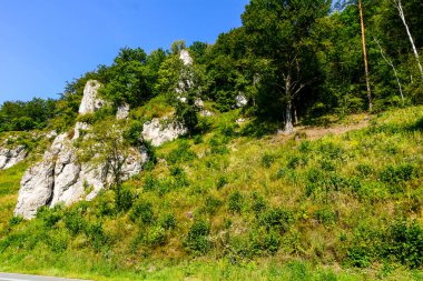 Ojcow Ulusal Parkı, Polonya 2020.