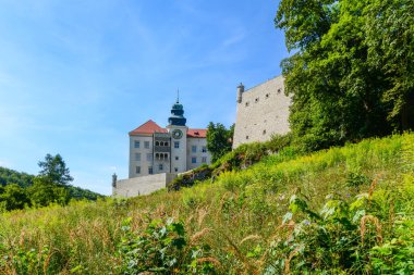Pieskowa Skala Şatosu - Polonya 'nın Suloszowa köyünde bir kale.