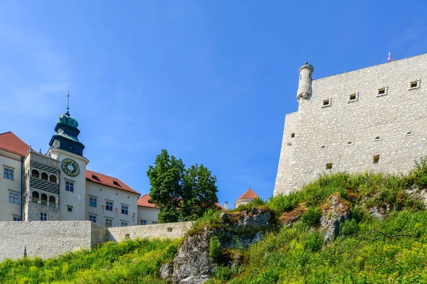 Pieskowa Σκάλα Κάστρο Ένα Κάστρο Στο Χωριό Της Suloszowa Πολωνία — Φωτογραφία Αρχείου