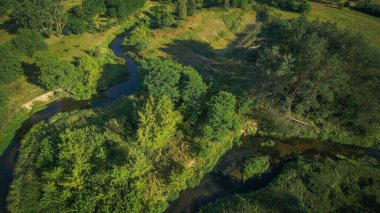 Bir yaz günü, küçük vahşi bir nehrin üzerinde alçak uçuş, Grabia nehri, Polonya.