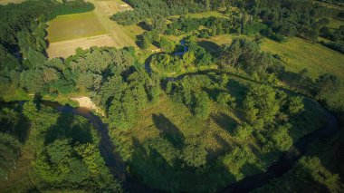 Bir yaz günü, küçük vahşi bir nehrin üzerinde alçak uçuş, Grabia nehri, Polonya.