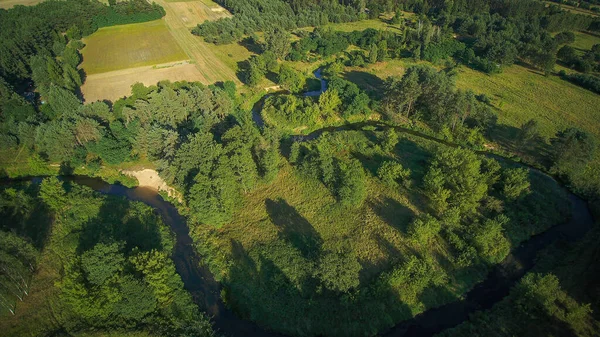 Lage Vogelvlucht Een Kleine Wilde Rivier Een Zomerse Dag Rivier — Stockfoto