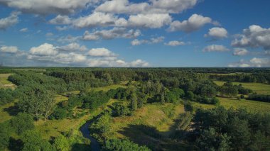 Bir yaz günü, küçük vahşi bir nehrin üzerinde alçak uçuş, Grabia nehri, Polonya.