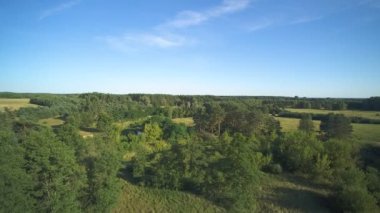 Bir yaz günü, küçük vahşi bir nehrin üzerinde alçak uçuş, Grabia nehri, Polonya.