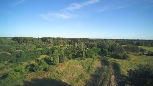 Nízký Přelet Nad Malou Divokou Řekou Letní Den Řeka Grabia — Stock video