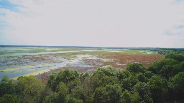 Jeziorsko Rezervor Baraj Râul Warta Cel Mai Mare Rezervor Rezervor — Videoclip de stoc