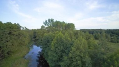 Bir yaz günü, küçük vahşi bir nehrin üzerinde alçak uçuş, Grabia nehri, Polonya.