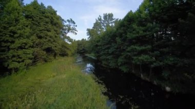 Bir yaz günü, küçük vahşi bir nehrin üzerinde alçak uçuş, Grabia nehri, Polonya.