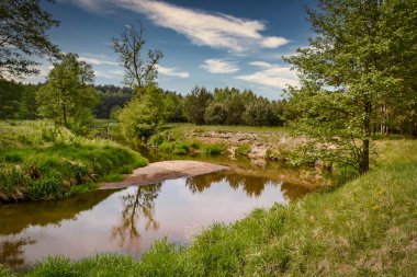 Polonya 'nın merkezindeki vahşi Grabia Nehri.. 