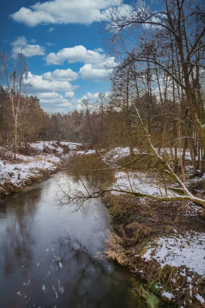 Río Grabia Salvaje Centro Polonia — Foto de Stock