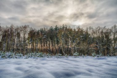 Soğuk bir günde kış manzaraları. 