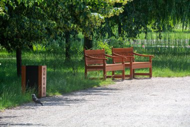 Polonya 'daki şehir parkında tezgah ve çöp kutusu. 