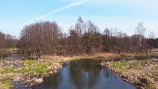 Tiefflug Über Den Kleinen Fluss Grabia Polen — Stockvideo