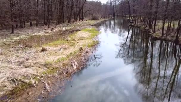 Tiefflug Über Den Kleinen Fluss Grabia Polen — Stockvideo