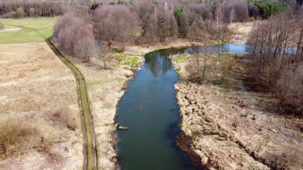 Volo Basso Sul Piccolo Fiume Grabia Polonia — Video Stock