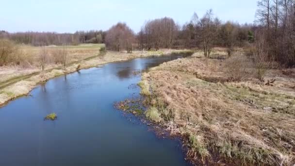 Nízký Let Přes Malou Řeku Grabia Polsko — Stock video