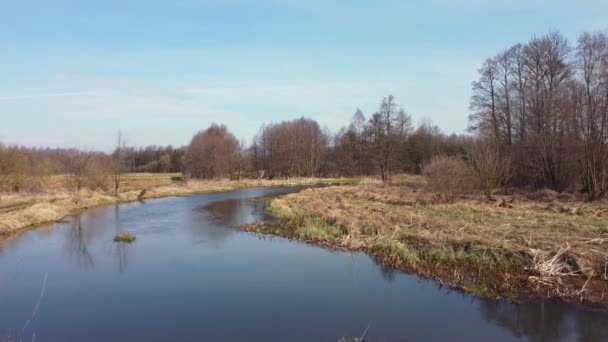 Tiefflug Über Den Kleinen Fluss Grabia Polen — Stockvideo