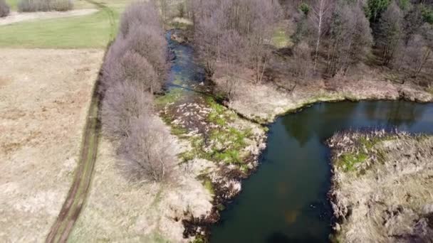 Bajo Vuelo Sobre Pequeño Río Grabia Polonia — Vídeo de stock