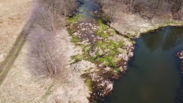 Bajo Vuelo Sobre Pequeño Río Grabia Polonia — Vídeo de stock