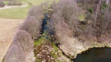 Polonya 'nın küçük Grabia Nehri üzerinde alçak uçuş. 