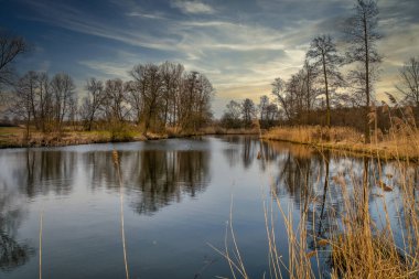 Widawka Nehri merkezi Polonya.