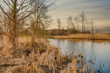 Widawka Nehri merkezi Polonya.