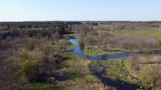 Volo Basso Sul Piccolo Fiume Grabia Polonia — Video Stock