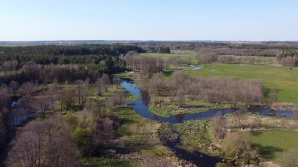 Bajo Vuelo Sobre Pequeño Río Grabia Polonia — Vídeo de stock