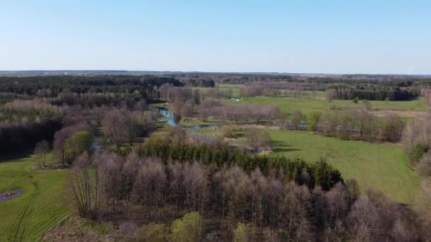 Bajo Vuelo Sobre Pequeño Río Grabia Polonia — Vídeo de stock