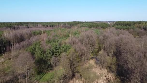 Bajo Vuelo Sobre Pequeño Río Grabia Polonia — Vídeo de stock