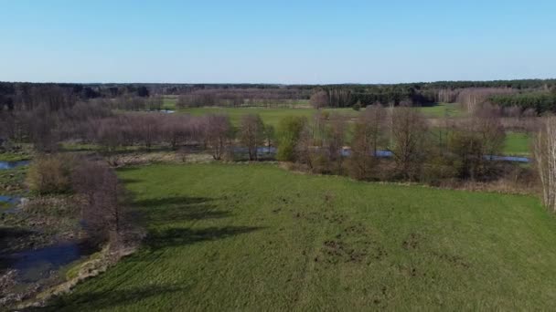 Bajo Vuelo Sobre Pequeño Río Grabia Polonia — Vídeo de stock