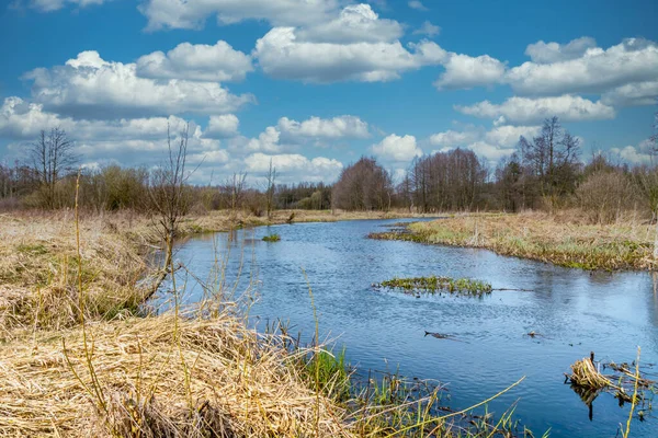 Rybaření Malé Řece Grabia Centru Polska — Stock fotografie