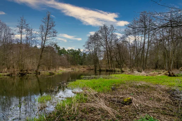 ポーランドの中心部にある小さな川グラビアでの釣り — ストック写真