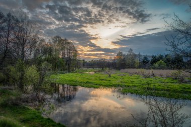 Polonya 'nın merkezindeki küçük Grabia nehrinde balık tutmak. 
