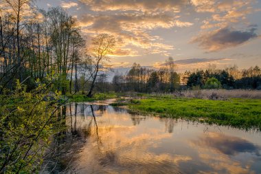 Polonya 'nın merkezindeki küçük Grabia nehrinde balık tutmak. 