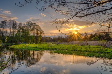 Polonya 'nın merkezindeki küçük Grabia nehrinde balık tutmak. 