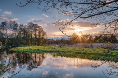 Polonya 'nın merkezindeki küçük Grabia nehrinde balık tutmak. 