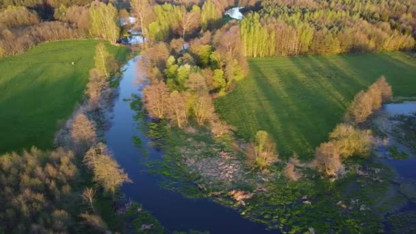 Χαμηλή Πτήση Πάνω Από Μικρό Ποταμό Grabia Πολωνία — Αρχείο Βίντεο