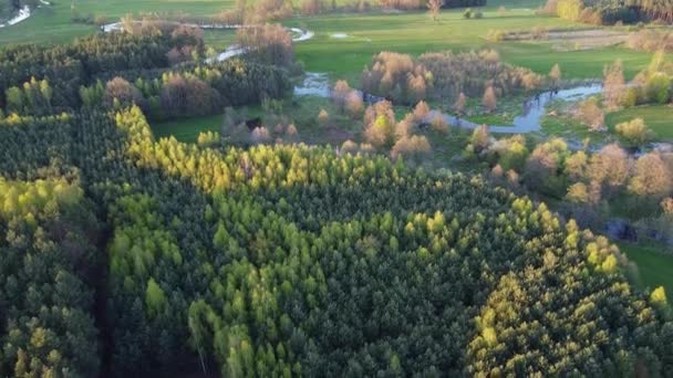 Polonya Nın Küçük Grabia Nehri Üzerinde Alçak Uçuş — Stok video