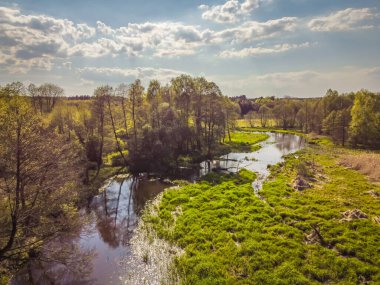 Güneşli bir bahar gününde küçük bir nehrin üzerinden uçmak. 