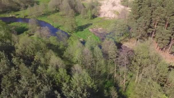 晴れた春の日に小さな川を飛ぶ — ストック動画
