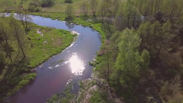 Vuelo Sobre Pequeño Río Soleado Día Primavera — Vídeos de Stock