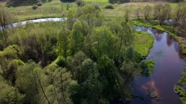 Bir sürü ağaç ve küçük bir nehirle yukarıdan görünen bahar..