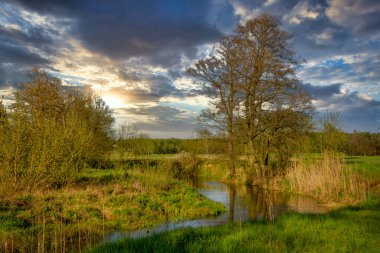 Polonya 'nın küçük Grabia Nehri üzerinde alçak uçuş. 