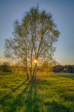 Polonya 'nın küçük Grabia Nehri üzerinde alçak uçuş. 