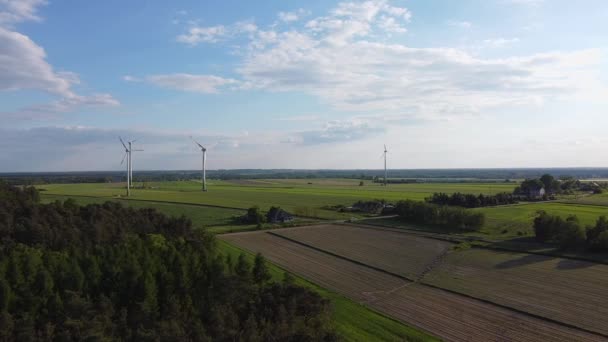 Mulini Vento Che Producono Elettricità Nei Campi Della Polonia Centrale — Video Stock