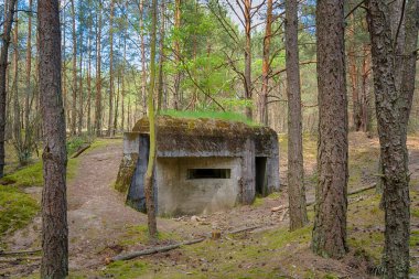1939 'dan kalma Polonya savunma sığınağı. 