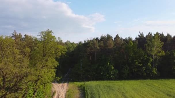 Flykten Drönaren Bakom Skogen Slutar Med Utsikt Över Elektriska Väderkvarnarna — Stockvideo