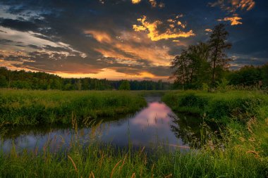 Küçük ve çılgınca akan bir nehir. 