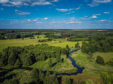 Orta Polonya 'daki küçük Grabia Nehri.. 